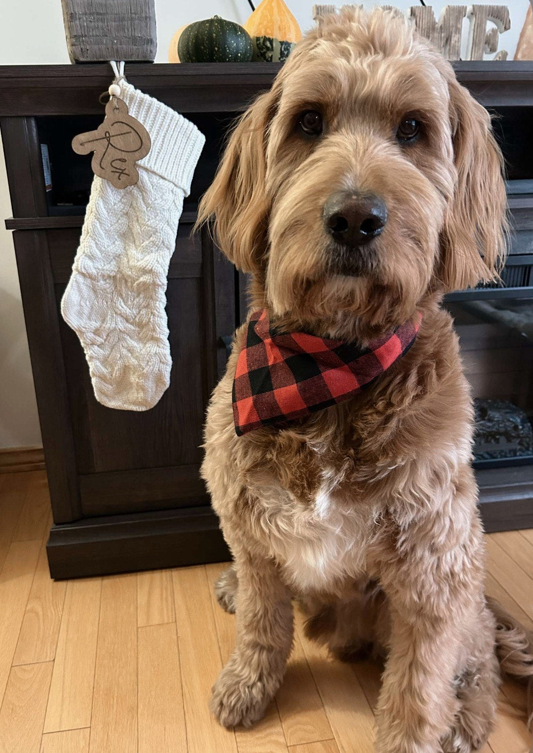 stocking - gift tags!