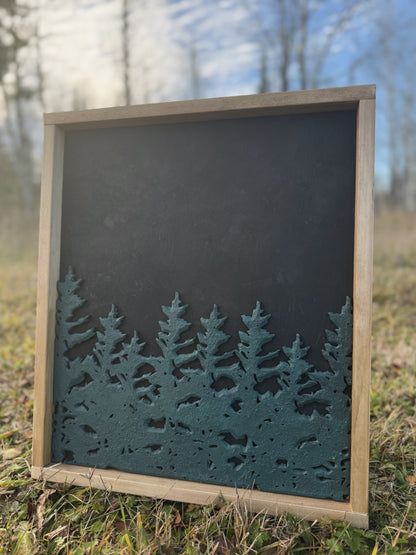 northern roots night sky